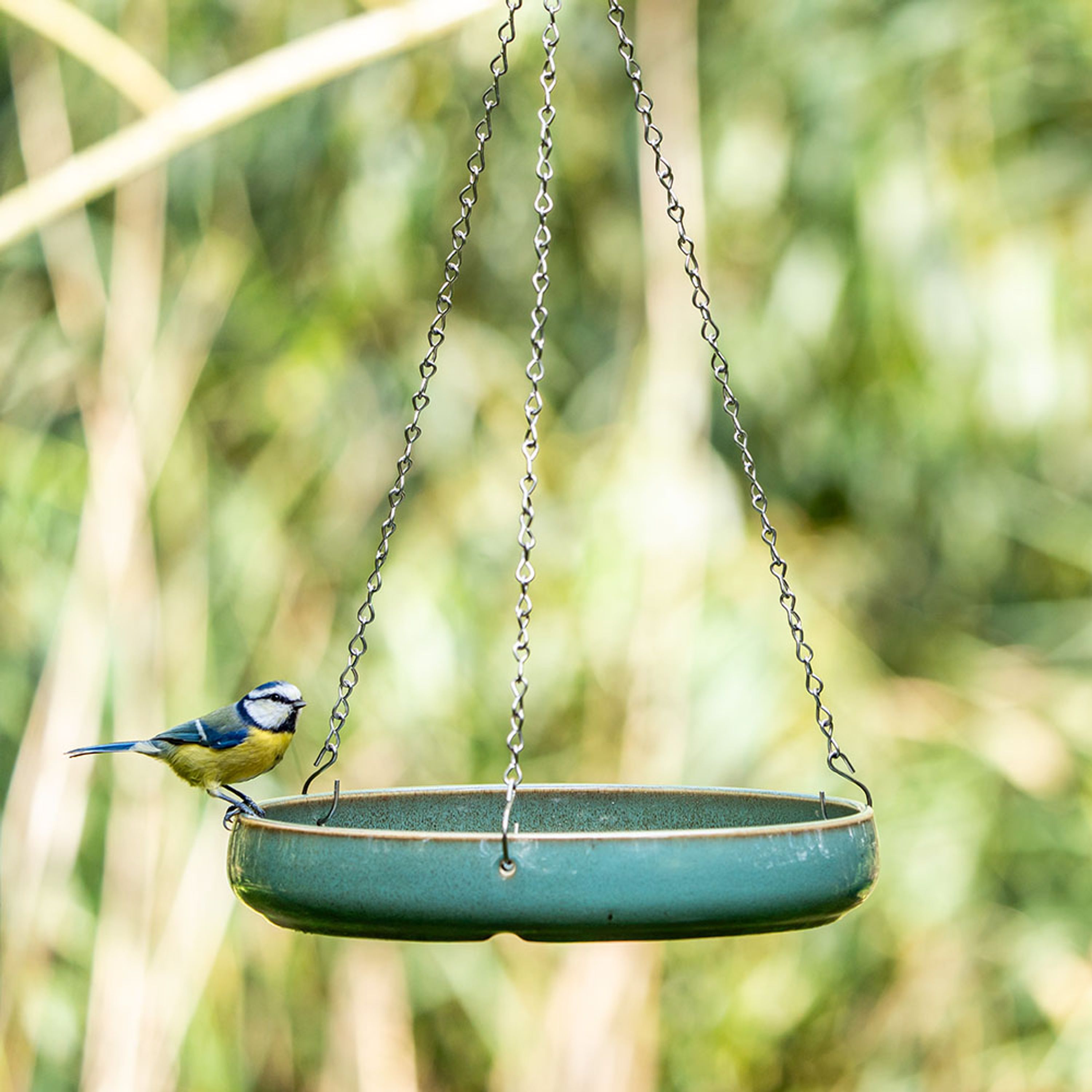 Wasserschale „Vierno” | CJ Wildlife